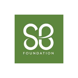 St. Baldrick's Foundation