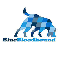 Blue Bloodhound