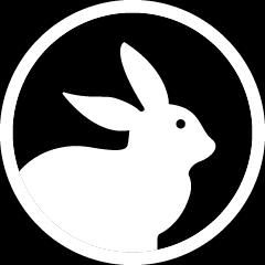 White Rabbit Intel