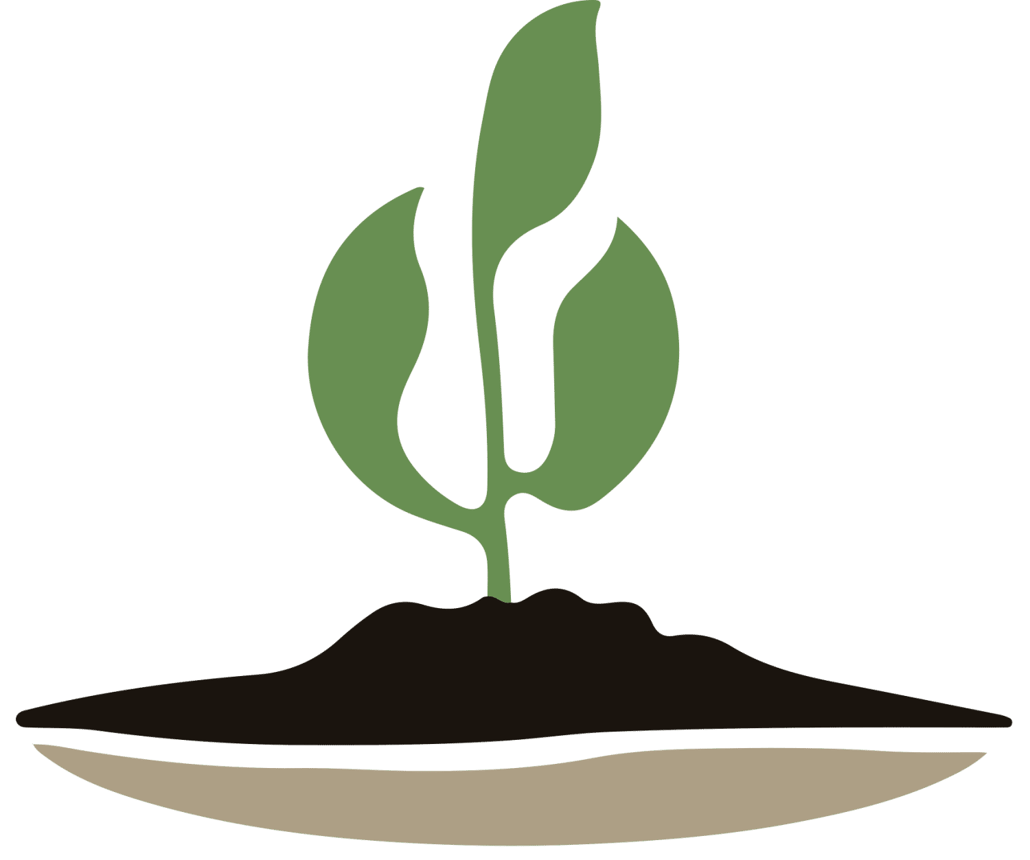 Biosorra