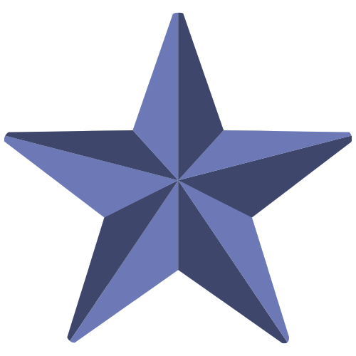 The Military Veteran