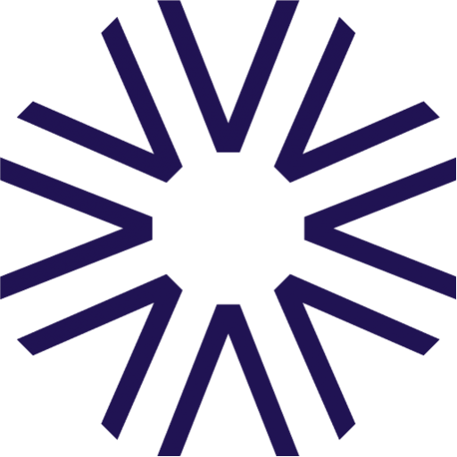 VIC Partners