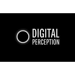 Digital Perception