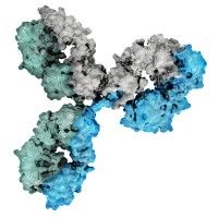 Kenjockety Biotechnology