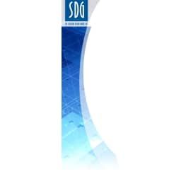 The Solution Design Group