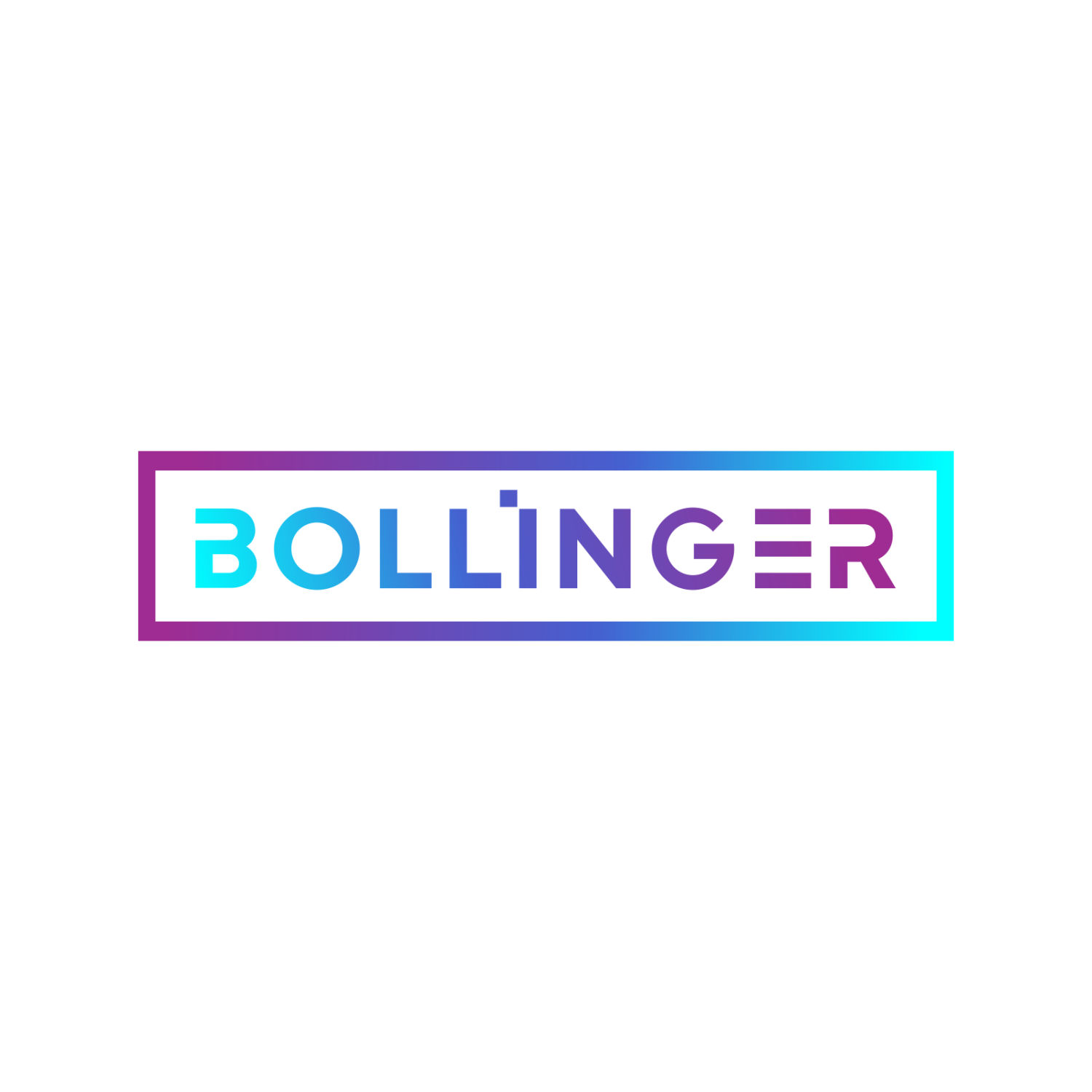 Bollinger Investment Group