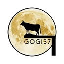 Gogi 37