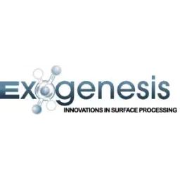 Exogenesis