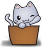 BoxCat
