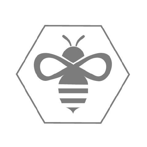 Apis Partners