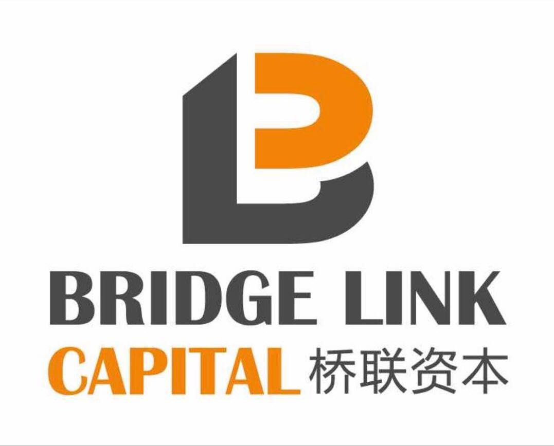 Bridge Link Capital