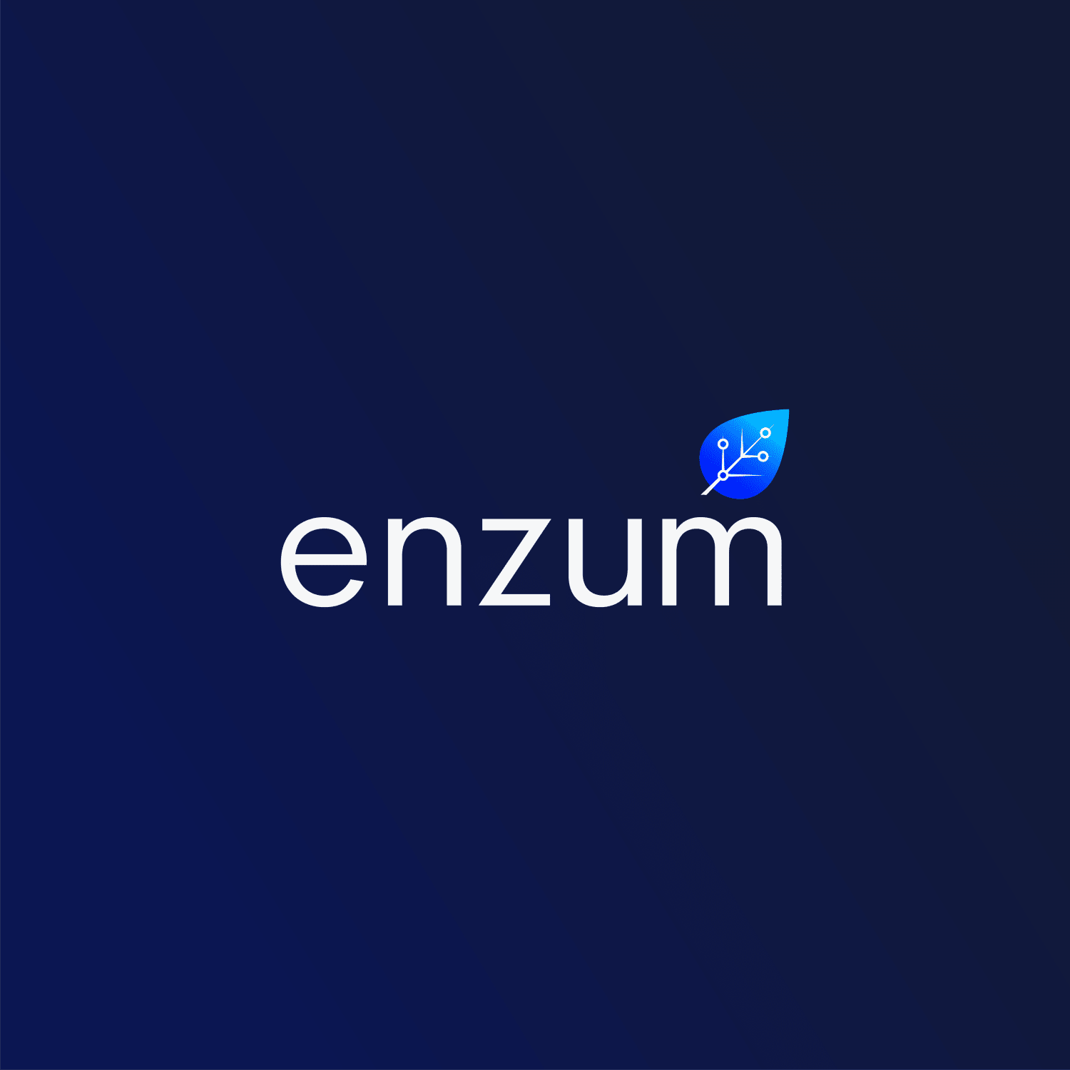 enzum