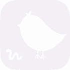 EarlyBird Education
