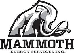 Mammoth Energy Services