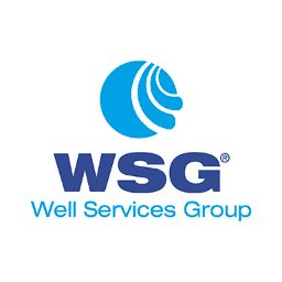 Well Services Group