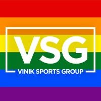 Vinik Sports Group