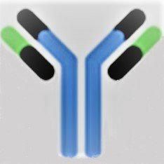 Precision Biologics