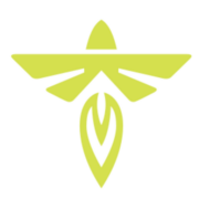 Alpha logo