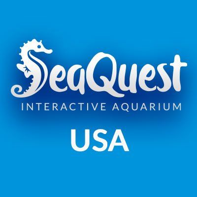 SeaQuest