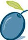 Blue Olive Partners