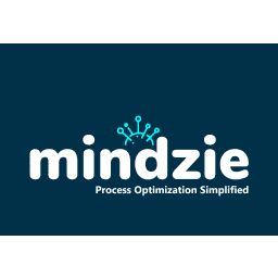 mindzie