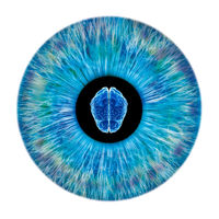 Neuroptics