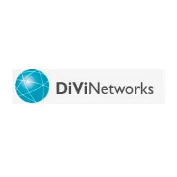 DiViNetworks