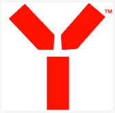 Y-Klub