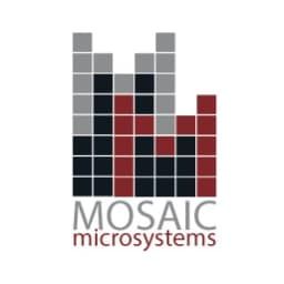 Mosaic Microsystems