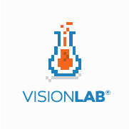 The Vision Lab