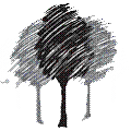 Northwest Arkansas Federal Credit Union logo
