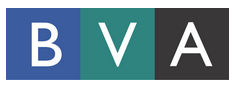 Buena Venture Associates