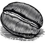MokhaOrigin