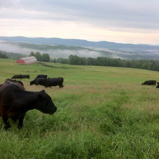 Sawmill Brook Farm