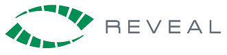 Reveal Design Automation
