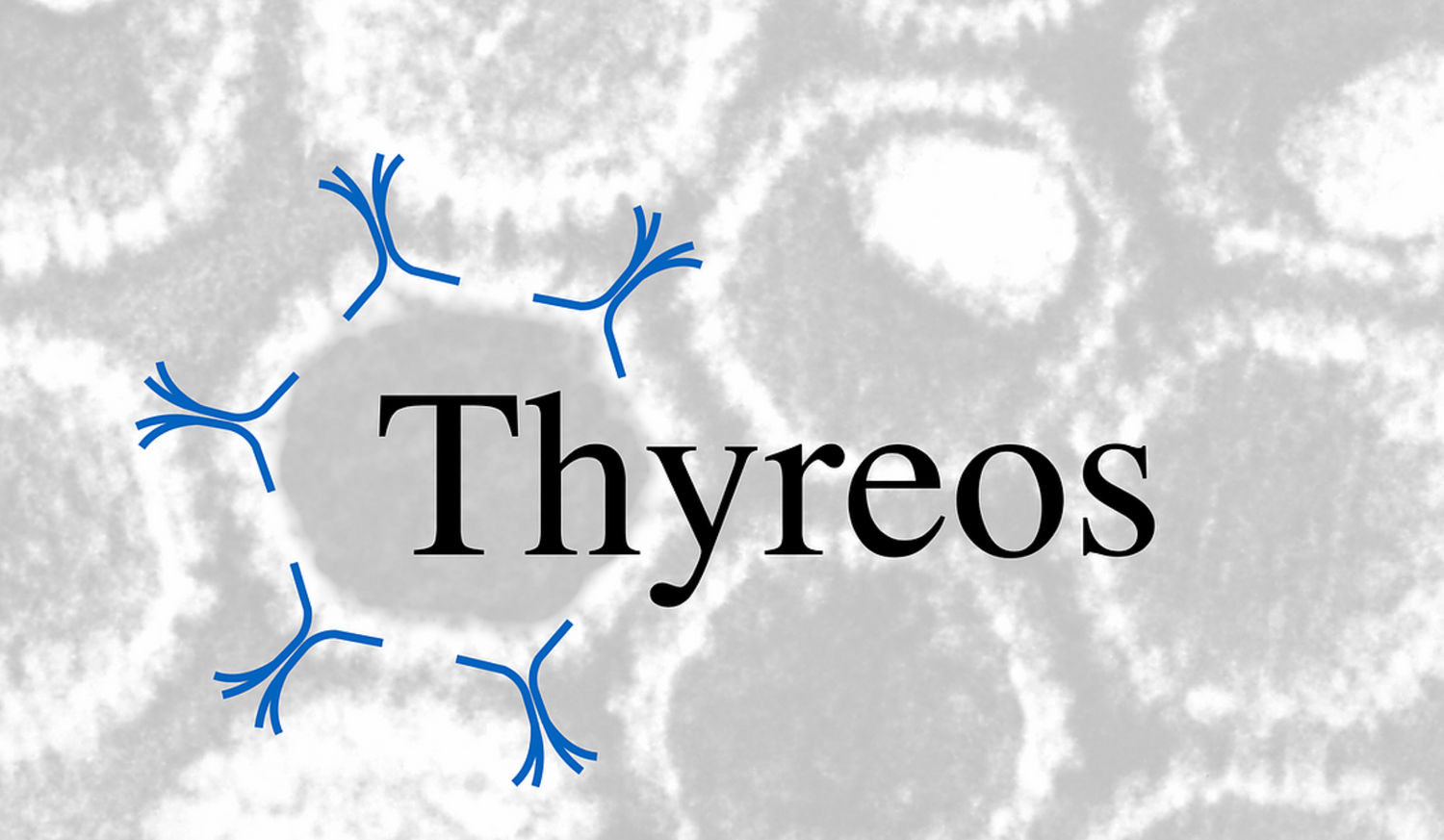 Thyreos