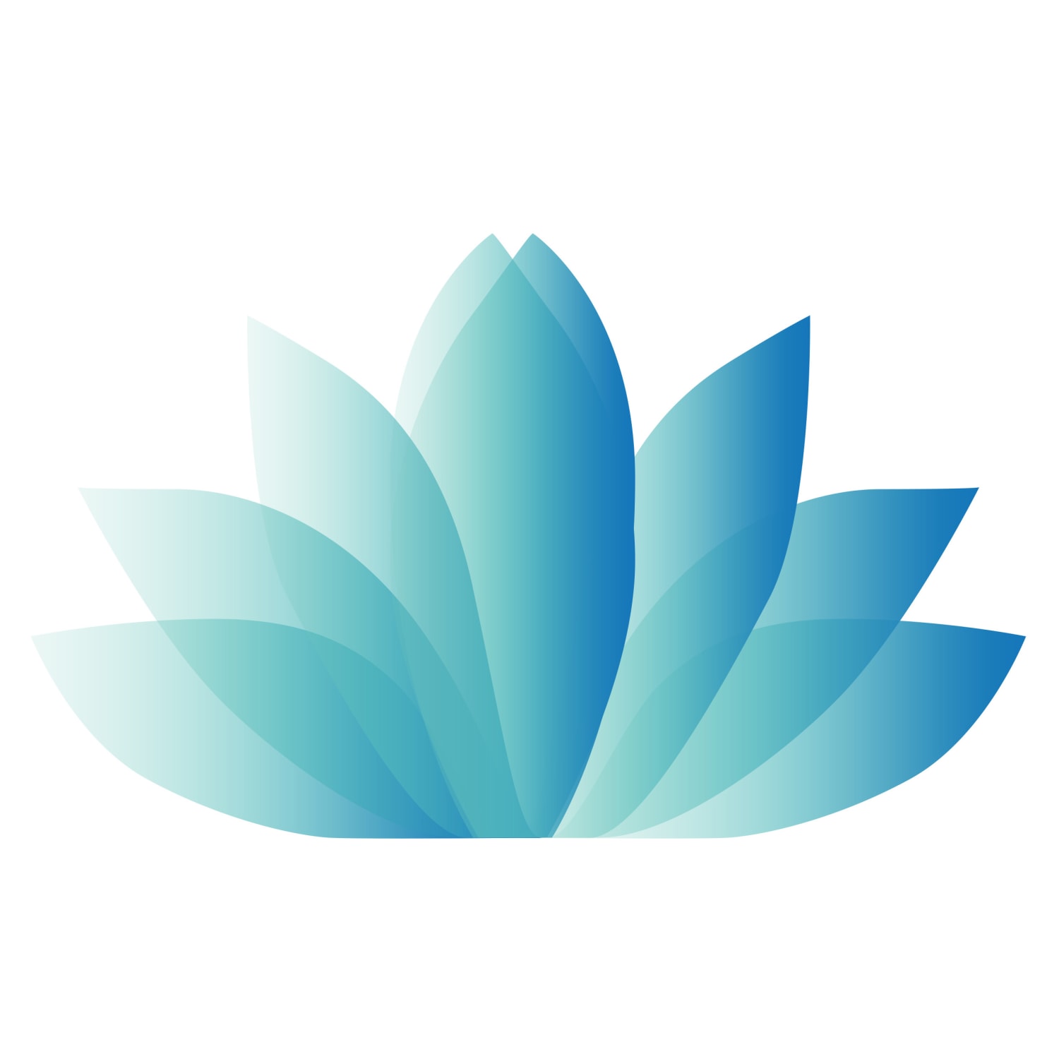 Agave Partners Capital