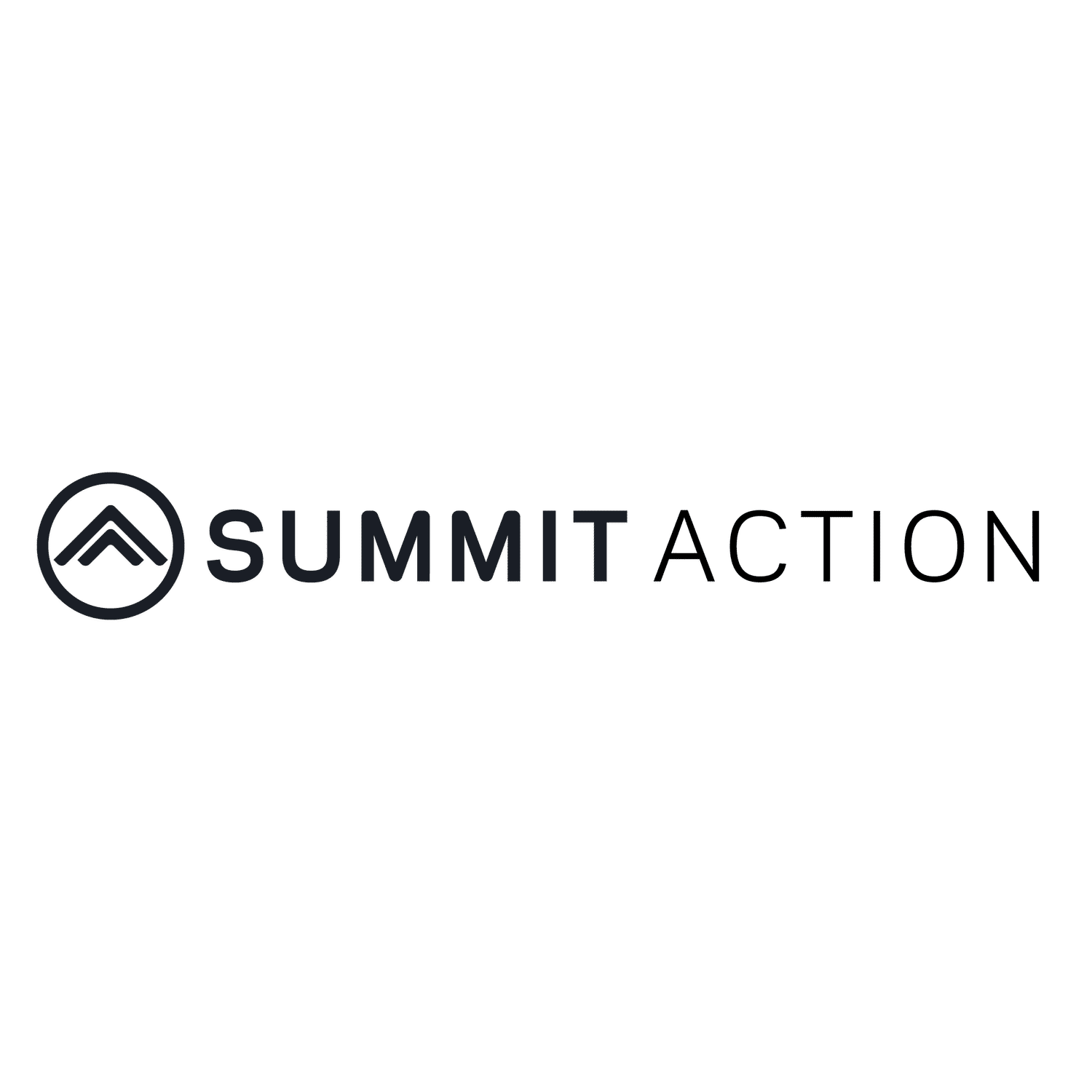 Summit Action