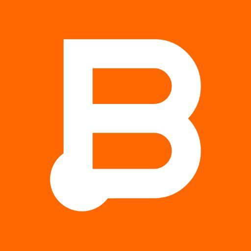 Business Instincts Group