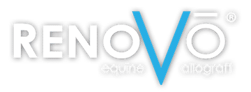 Equine Amnio Solutions