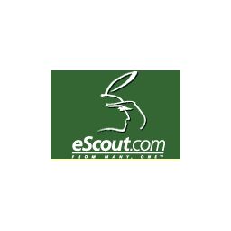 eScout.com
