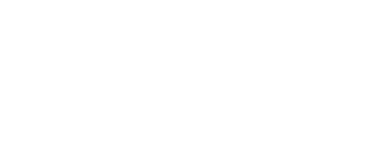 Fovea Jewelry Holdings