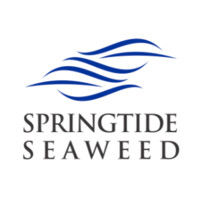 Springtide Seaweed