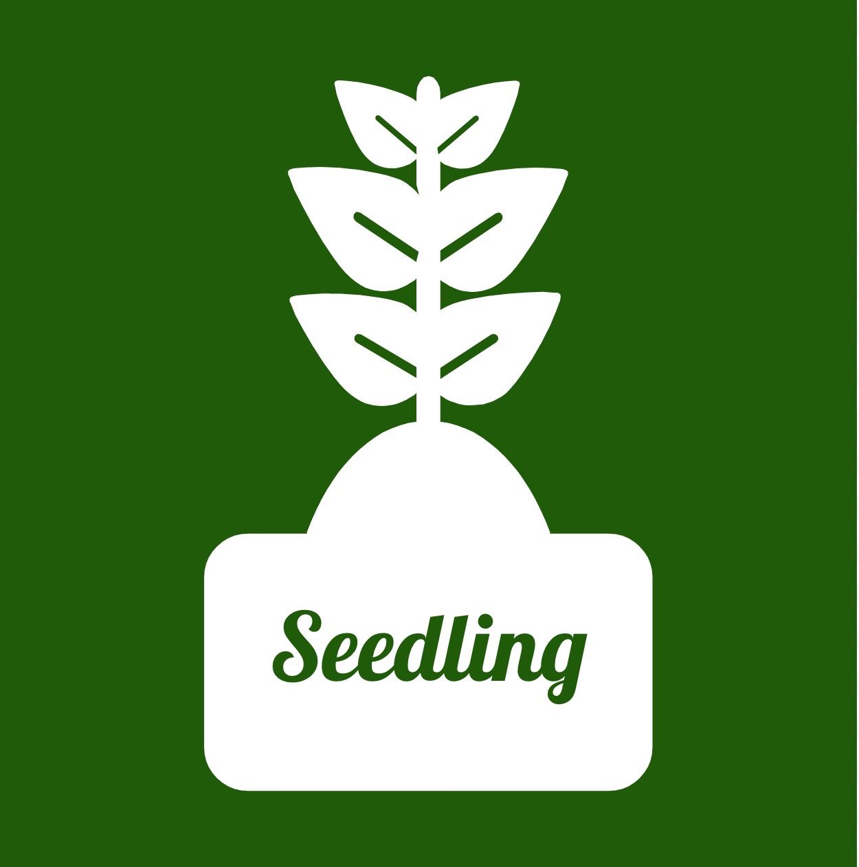 Seedling