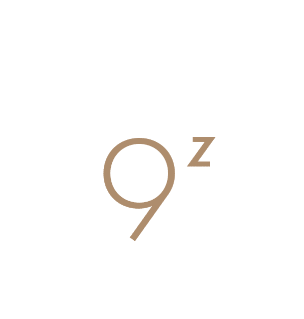 Nine Zeros Entertainment