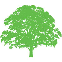 Green Source Holdings