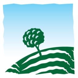 Maxfield Capital