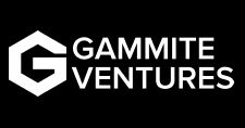 Gammite ventures logo