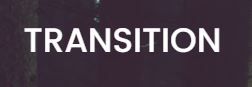 Transition Global