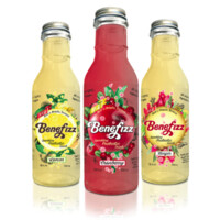 Benefizz